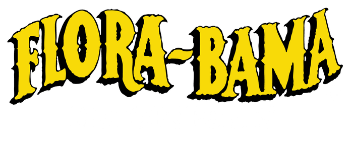 Flora-Bama Motorsports